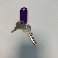 Keys, as reported by Gemeente Ede using iLost