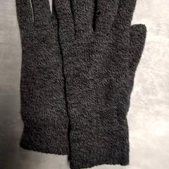 Gloves Grijs, as reported by Arriva Friesland / Groningen using iLost