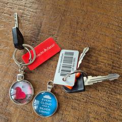 Twee sleutelbossen, jak zgłoszono do iLost