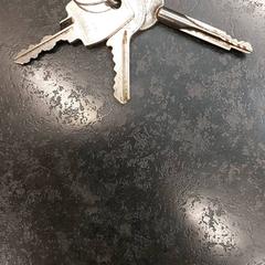 Keys, as reported by Rotterdam The Hague Airport using iLost