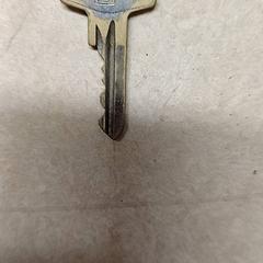 Sleutelbos, zoals gemeld door Qbuzz GD Groningen Peizerweg met iLost