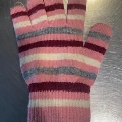 Handschoen Roze, come riportato da Burgers' Zoo utilizzando iLost