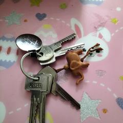 Sleutels, segons s'ha informat a iLost