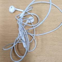 Oortjes Wit, zoals gemeld door Qbuzz GD Groningen Peizerweg met iLost