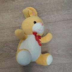 Peluche, come riportato da EBS OV Poeldijk utilizzando iLost