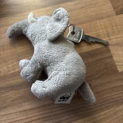 Sleutelhanger, come riportato a iLost