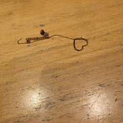 Armbandje، كما تم الإبلاغ عنه بواسطة Pathé Ede عبر iLost