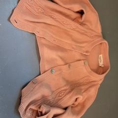 Sweater Vestje, as reported by Diergaarde Blijdorp using iLost