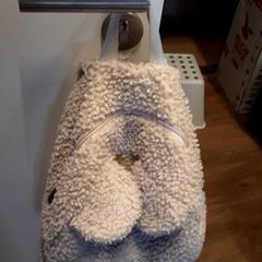 Torba, zgłoszono przez Qbuzz ZHN przy użyciu iLost