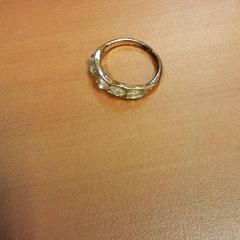 Anel, como reportado por Vrije Universiteit Brussel (VUB) utilizando o iLost