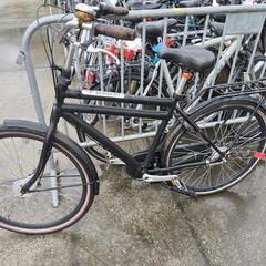 Herenfiets poppal, ha sido reportado por Stadswerk072 con iLost