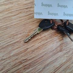 Llave Sleutelbos, ha sido reportado por Gemeente Zeist con iLost