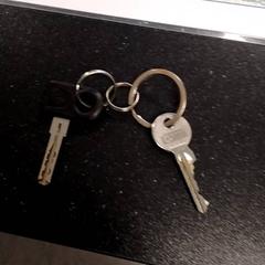 Schlüssel 2 sleutels, gemeldet von Arriva Infoshop Enschede über iLost