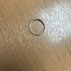 Squillo, come riportato da Sheraton Brussels Airport Hotel utilizzando iLost