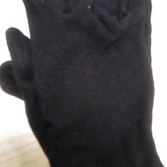 Handskar handschoenen, rapporterat av Qbuzz Fryslân med iLost