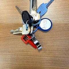 鍵 がiLostで RRReis Veluwe Zuid - Ede によって報告されました