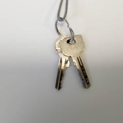 열쇠, iLost를 사용하여 Centraal magazijn에 보고됨