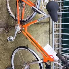 여성용 자전거 Gazelle, iLost를 사용하여 Stadswerk072에 보고됨