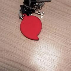 Keys, as reported by Qbuzz Fryslân using iLost