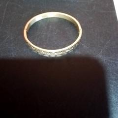 Náramek, jak nahlášeno Apenheul pomocí iLost