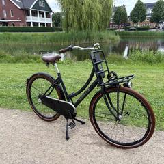 Fiets, iLost-i jakinarazi zaion moduan