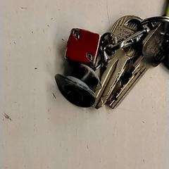 Giltzak, gisa salatu by GVB iLost erabiliz