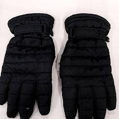 Handschoenen, rapporterat av Arriva Limburg Zuid med iLost