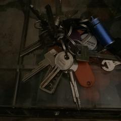 Sleutelbos, segons s'ha informat a iLost