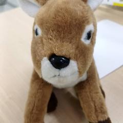 Knuffelspeeltje, zoals gemeld door IKEA Brest Guipavas met iLost