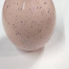 Vaasje, zoals gemeld door IKEA Gent met iLost