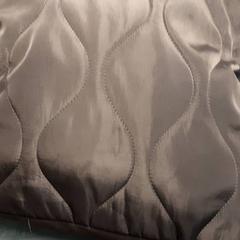 Håndveske Bruin, som rapportert av Arriva Friesland / Groningen ved bruk av iLost