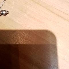 Náhrdelník, jak nahlášeno Beekse Bergen Resorts en Hotel pomocí iLost