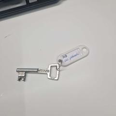 Kľúčenka, ako bolo nahlásené Stad Hasselt pomocou iLost