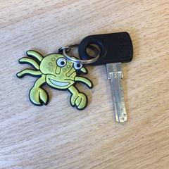 Kľúč od bicykla fietsensleutel, ako bolo nahlásené Canisius-Wilhelmina Ziekenhuis pomocou iLost