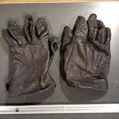 Kesztyű, amint azt Breng Nijmegen az iLost segítségével jelentette.