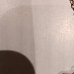 Necklace, as reported by De Efteling using iLost