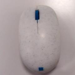 Maus Grijs wit, gemeldet von Vrije Universiteit Amsterdam über iLost