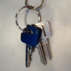 İLost kullanarak Walibi Holland tarafından bildirildiği gibi Sleutelbos