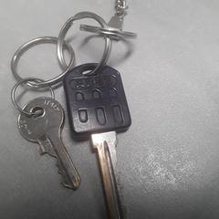 Sleutels Nr sleutel 3734, zit wit klompje aan, come riportato da Arriva Friesland / Groningen utilizzando iLost