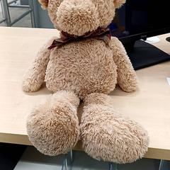 Jouet, a été signalé par IKEA Bayonne Ametzondo utilisant iLost