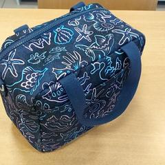 Bossa, segons ha informat Regio Limburg - Leuven mitjançant iLost