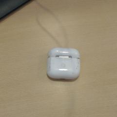 Earphones apple, as reported by Walibi Holland using iLost