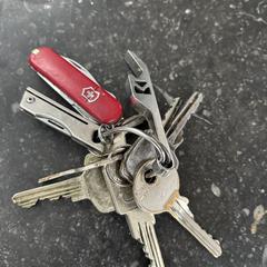 Sleutelbos, som rapportert til iLost