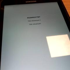 E-reader, as reported by RRReis Veluwe Zuid - Ede using iLost