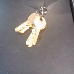 鍵 がiLostで SnowWorld Landgraaf によって報告されました