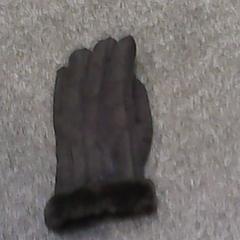 Gloves, as reported by SnowWorld Landgraaf using iLost