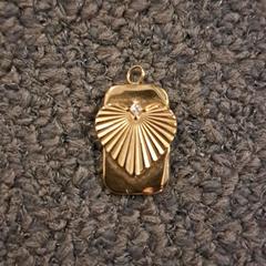 Charm, as reported by Breda University of Applied Sciences Mgr. Hopmansstraat using iLost