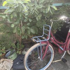 Rode meisjesfiets an iLost gemeldet