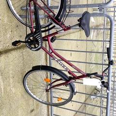 Bici da donna bauwer, come riportato da Stadswerk072 utilizzando iLost