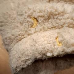 Jacket, as reported by Avonturenboerderij Molenwaard using iLost